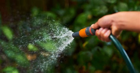 Hosepipe ban in Crawley and Gatwick not yet。